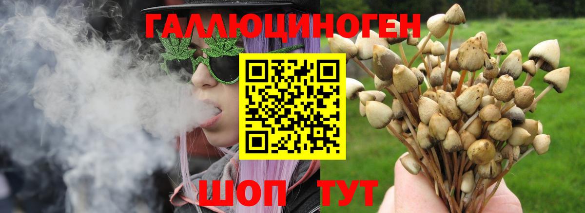 цены   Вход с VPN  Батайск  Галлюциногенные грибы GOLDEN TEACHER 